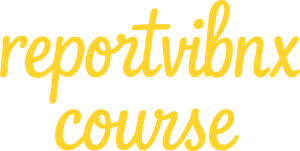 reportvibnx Logo